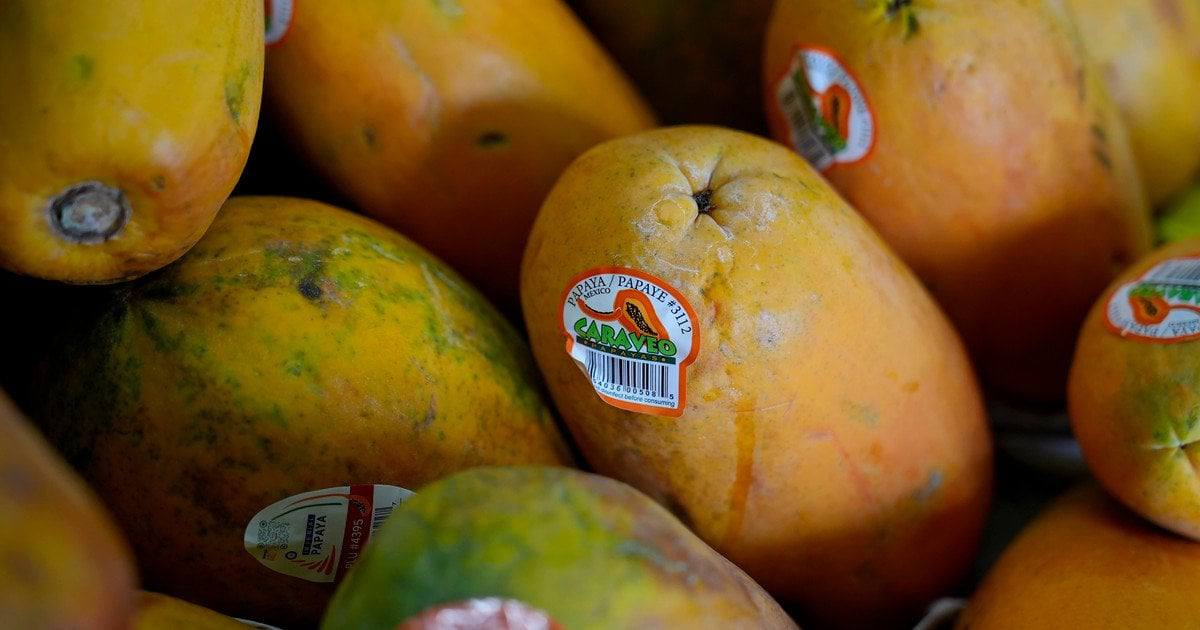 Πέντε φρούτα με την υψηλότερη περιεκτικότητα σε βιταμίνη C — και δεν είναι το πορτοκάλι ούτε το λεμόνι